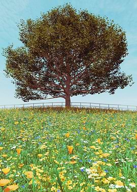 Tree in a wildflower meadow
