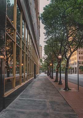Urban Sidewalk with Trees and Buildings
