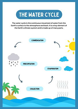 The Water Cycle Diagram