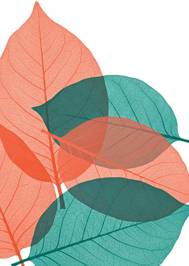 Translucent Leaves in Coral and Teal