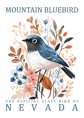 Mountain Bluebird Nevada State Bird Art