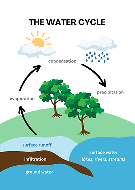 The Water Cycle Diagram