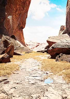 Desert Canyon Landscape