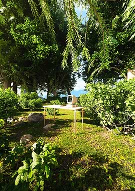 Computer on desk in lush garden