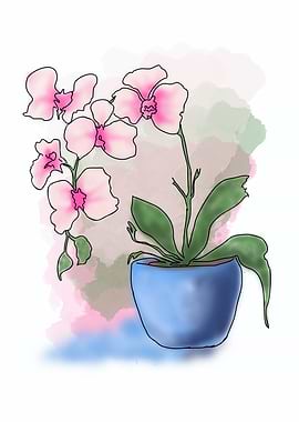 Pink Orchid in Blue Pot