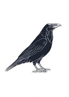 Raven Illustration on White Background