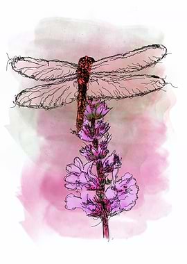 Dragonfly on Flower Digital Art