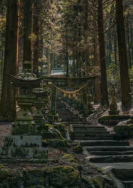 Japanese Shrine Path in Forest