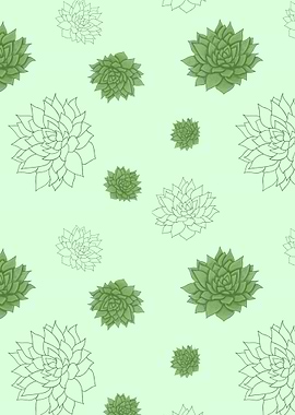 Succulent Echeveria Harmony Pattern