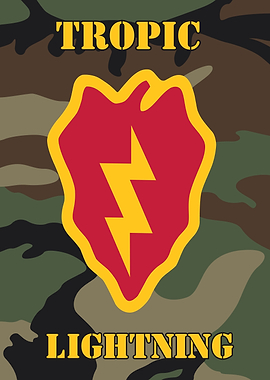 Tropic Lightning Military Patch Camouflage Background