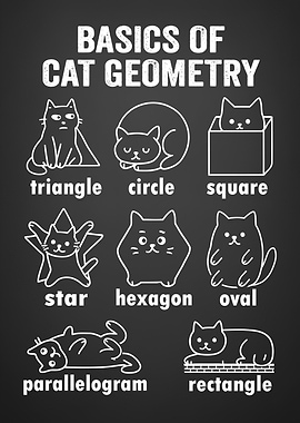 Basics of Cat Geometry Funny Back To School Math Teachers Students