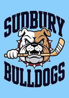 Sudbury Bulldogs Hockey meme