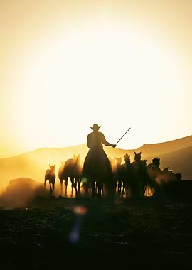 Cowboy Herding Horses at Sunset