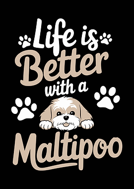 Life is Better with a Maltipoo