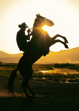 Cowboy on Rearing Horse at Sunset