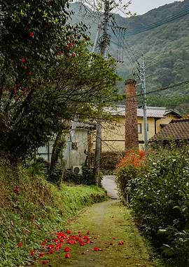 Japanese Countryside Path with Red Flowers