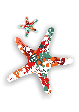 Colorful Starfish Duo on White Background