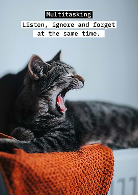 Multitasking Cat Yawning on Orange Towel