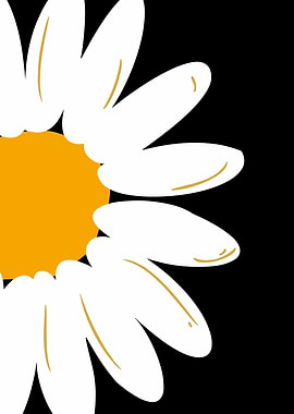 Daisy Flower Illustration on Black Background