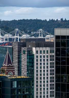 Seattle Port Shadows