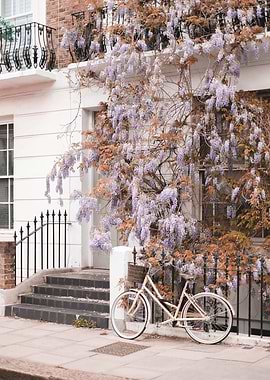London, England I Primrose Romantic street with vintage bike and wisteria flowers to elegant white Victorian architecture of a boho bohemian London street city urban landscape