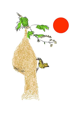 Bird Nest Illustration with Weaver Bird