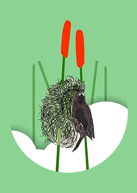 Bird on Nest with Cattails Illustration
