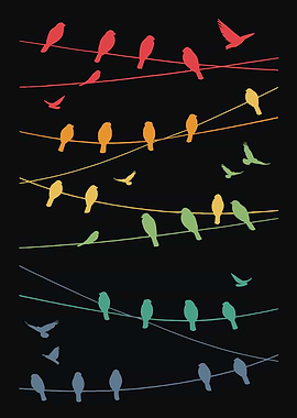 Birds lines Minimalist - Retro