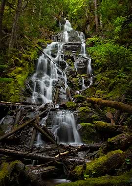 Cascading Waterfall in Lush Green Forest