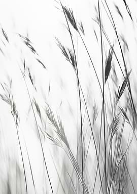 Botanical Grass Field