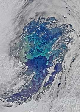 Vibrant Oceanic Swirls from Space