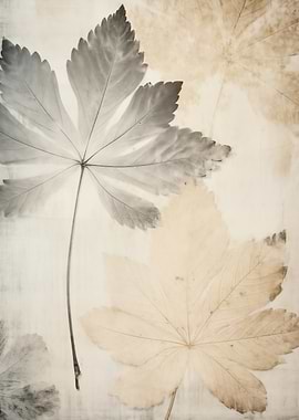Botanical Leaves Vintage
