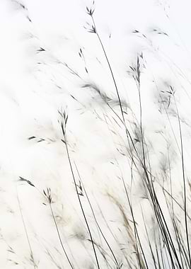 Delicate Grasses Botanical