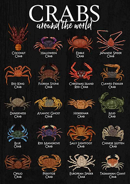 Crabs Around the World Illustration