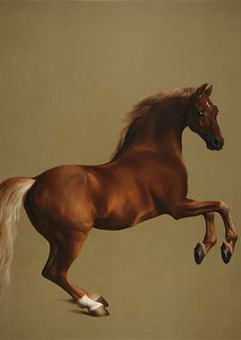 Chestnut Horse Rearing