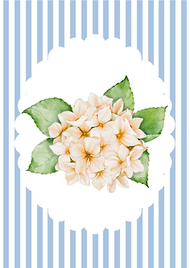 Hydrangea Bouquet on Striped Background