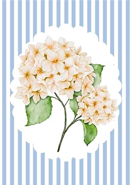 Hydrangea Floral Art on Striped Background
