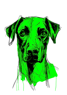 Green and Black Dog Sketch
