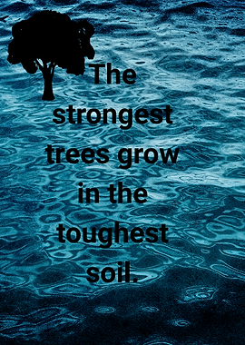 Strongest Trees Inspirational Quote