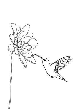 Hummingbird and Flower Minimalist Line Art