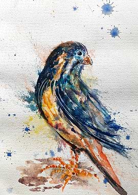 Watercolor Bird Painting