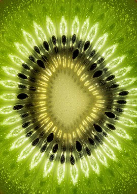 Kiwi Fruit Slice Close-Up