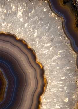 Agate Slice Close-Up