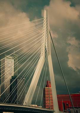 Erasmus Bridge Rotterdam
