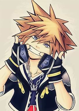 Kingdom Hearts Sora Funny Face