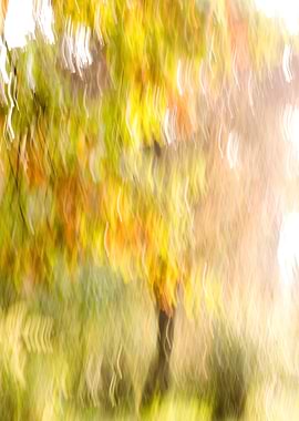 Abstract Autumn Tree Motion Blur