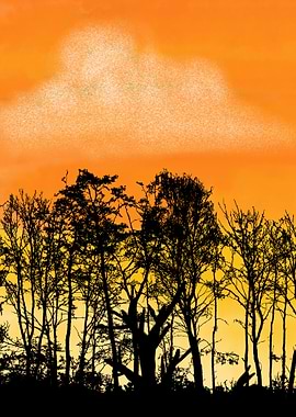 Silhouette of Trees at Sunset
