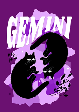 Gemini – The Zodiac Signs Black Cat Series