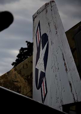 Vintage F-8 Crusader Wing with US Symbol