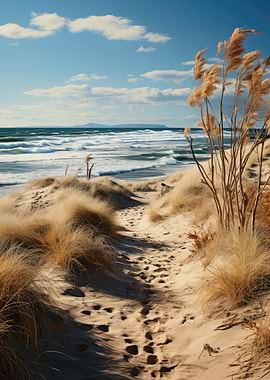 Sandy Beach Path with Ocean View